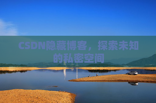 CSDN隐藏博客，探索未知的私密空间